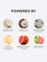 Natural ingredients are highlighted with images and benefits: Amazonian clay for long wear, coconut oil for nourishment, gardenia flower for antioxidants, vitamin E for preservation, grapefruit extract for brightening, and guava seed oil for moisture.