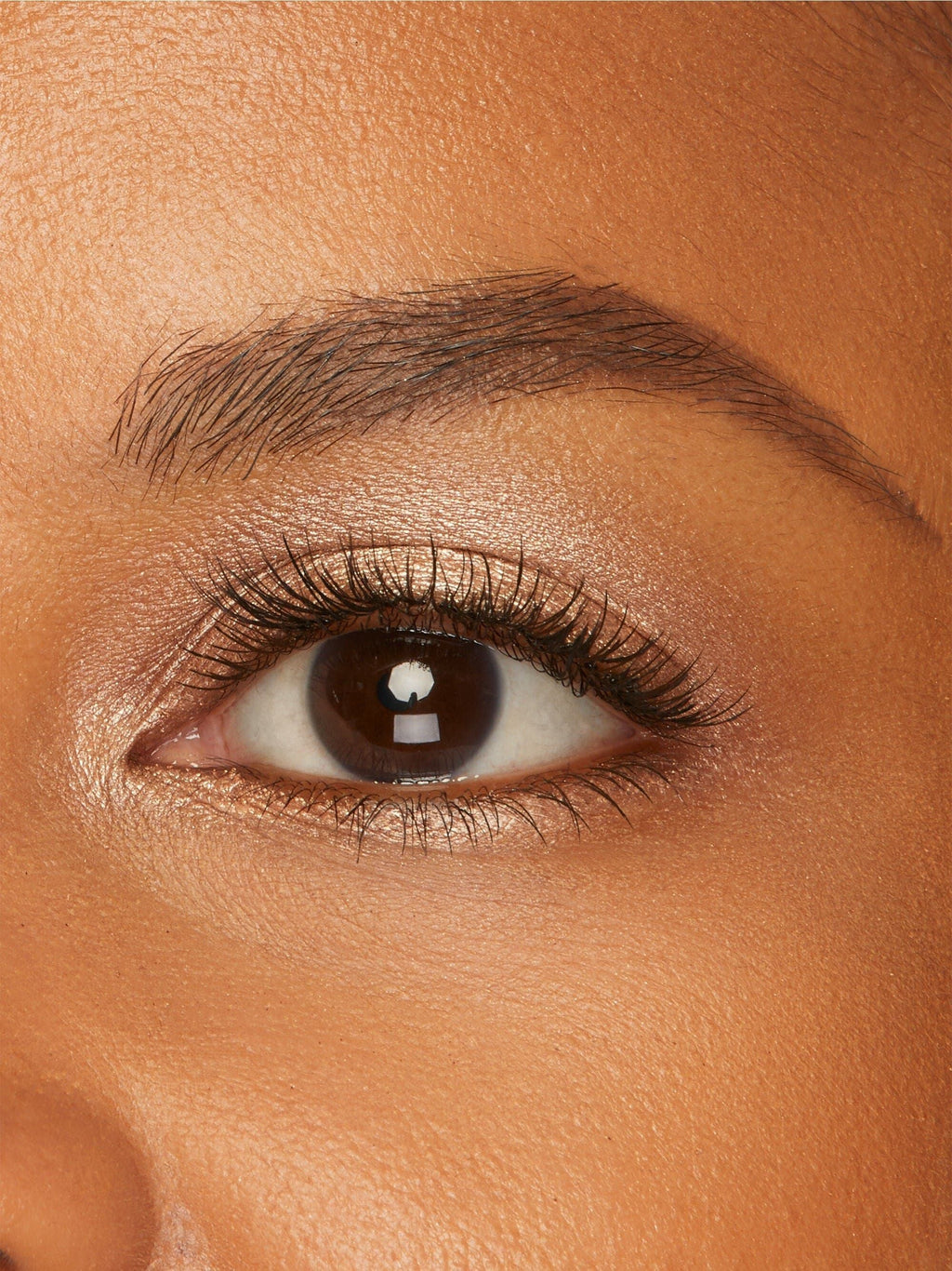 Amazonian clay cream shadow image number 8