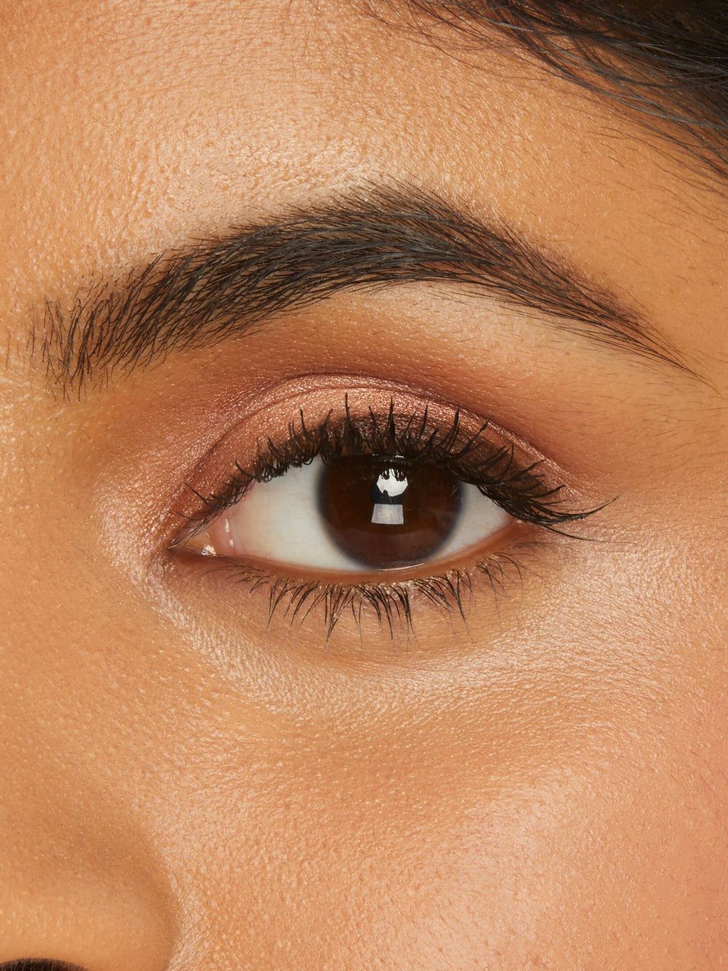 Amazonian clay cream shadow image number 9