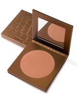 Bronze compact powder in a brown case on a white background
