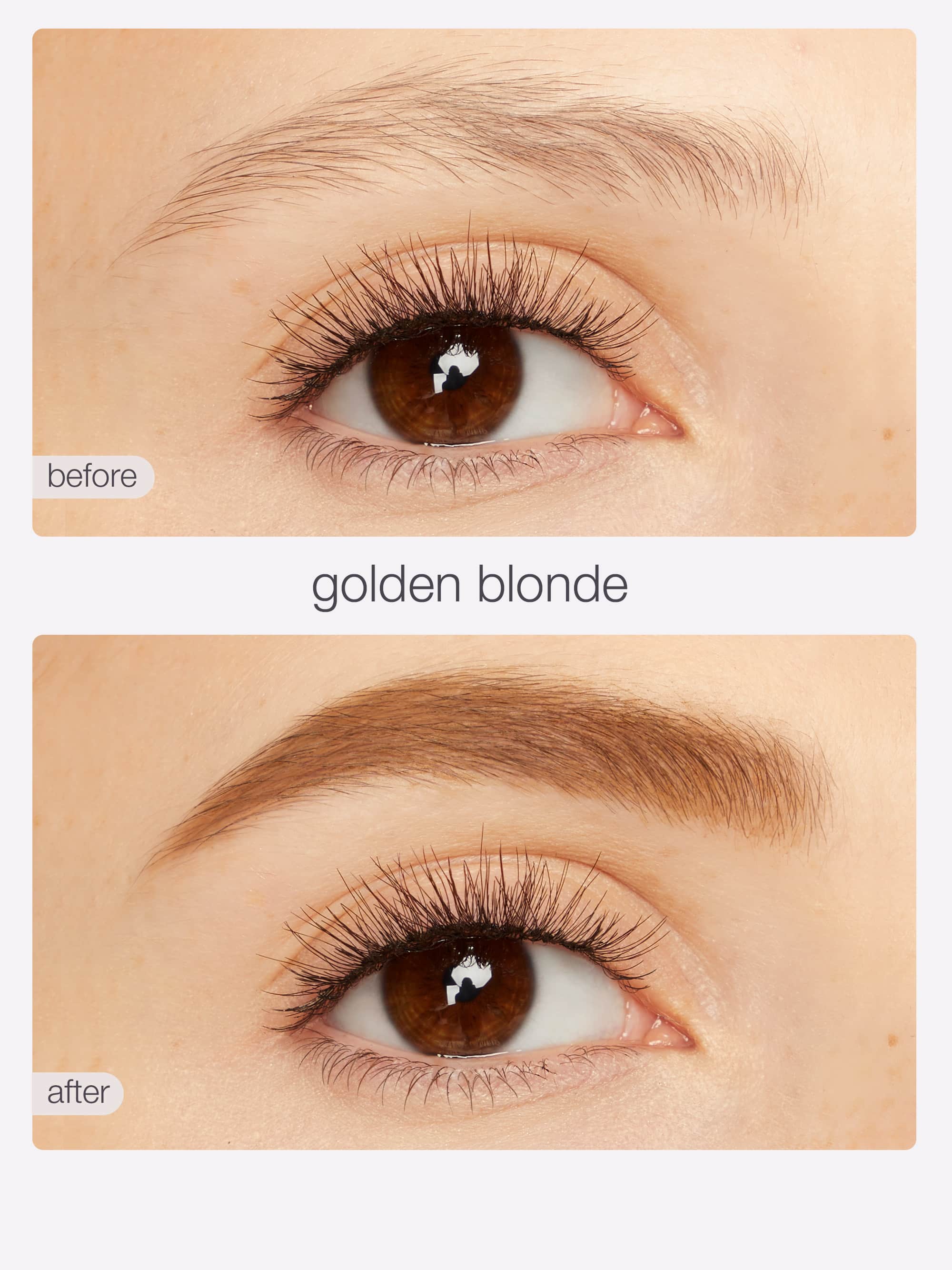 busy gal BROWS tinted brow gel